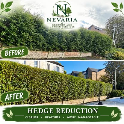 Before and after a Nevaria hedge reduction